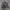 Carhartt Vintage Denim jacket Pria black photo 3