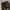 CARGO PANTS CAMO  photo 6