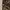 CARGO PANTS CAMO  photo 4