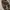 CARGO PANTS CAMO  photo 2