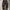 CARGO PANTS CAMO  photo 1