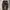 CARGO PANTS CAMO 