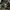 CARGO PANTS CAMO  photo 5