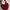 red bag photo 2