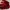 red bag photo 3