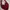 red bag photo 5