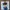(New) Detective Conan Body Scale /Timbangan photo 1
