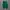 nike jordan  photo 5