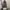 Adidas Streetwear Casual Hoody Wanita multicolor photo 1