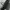 Pacomeri Mericare Beauty photo 4
