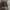 Lolita's Dream Doll 100% photo 1