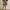 Ulla Johnson Ruffle Cotton Dress photo 5