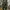 Cargo Army Pants Cammo