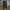 Cargo Army Pants Cammo photo 2