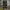 Cargo Army Pants Cammo