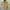 Kappa Casual Sweatshirt Wanita white yellow photo 1