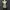Y2k Cr Tank Top