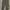 Celana Cargo Highwaist Jeans  photo 2