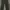 Celana Cargo Highwaist Jeans  photo 1