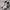Puma Streetwear Sneakers Pria white black photo 1
