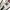 Vintage Y2K Mini skirt Wanita white photo 5
