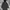 GAP Casual Trench coat Wanita black photo 1