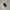 Septu Vans OS Full Black photo 1