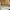 Marc Jacobs Casual Shoulder bag Wanita tan photo 7
