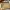Marc Jacobs Casual Shoulder bag Wanita tan photo 2