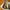 Marc Jacobs Casual Shoulder bag Wanita tan photo 4
