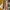 Marc Jacobs Casual Shoulder bag Wanita tan photo 3