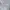 Polo Ralph Lauren White Cotton Long Sleeve Shirt  photo 7