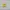 Trucer Hat Quick Silver Netflix Stranger Things Surfer Boy  photo 1
