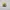 Trucer Hat Quick Silver Netflix Stranger Things Surfer Boy  photo 3