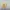 Trucer Hat Quick Silver Netflix Stranger Things Surfer Boy  photo 4