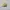 Trucer Hat Quick Silver Netflix Stranger Things Surfer Boy  photo 2