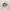 Trucer Hat Quick Silver Netflix Stranger Things Surfer Boy  photo 5