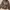 Only Brown Asymmetrical Women Bikers Leather Jacket  Belted photo 2