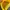 2000s Mix Free Yellow Sequin Pool Party Fitted Tee (M) photo 8