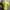 2000s Mix Free Yellow Sequin Pool Party Fitted Tee (M) photo 3