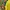 2000s Mix Free Yellow Sequin Pool Party Fitted Tee (M) photo 5
