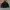 Studio W Down Jacket - Jaket Bulang Pria/Wanita photo 2