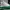 Puma CA Pro Classic II Full White