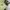 H&D Olive Green Beauty Girl Art Painting Tee (M) photo 4