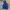 Uniqlo Blocktech Parka 3D Cut Jacket Midnight Blue photo 3