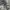 Felice Camo Monochrome Snow Jacket photo 4