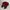 Topi ohio state 47 Brand photo 5