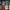 Casual T-shirt Pria multicolor photo 1
