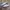 Adidas Indie Casual Sneakers Wanita white pink photo 1