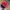 1990s Paolo Gucci Red Crushed Velvet 6-Panel Cap photo 4